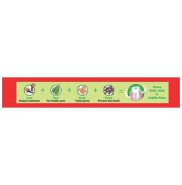 Baidyanath Red Toothpaste