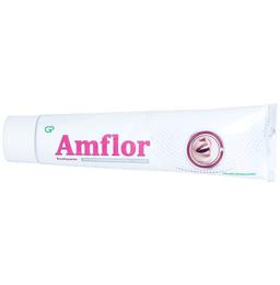 Amflor Toothpaste with Active Remineralisation Fluoride | For Healthy Gums & Strong Teeth
