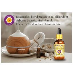 Deve Herbes Clean Air Essential Oil Blend