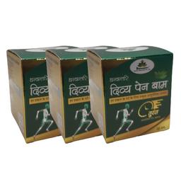 Dhanwantri Divy Pain Balm (30gm Each)