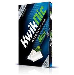 KwikNic Mint Chewing Gums