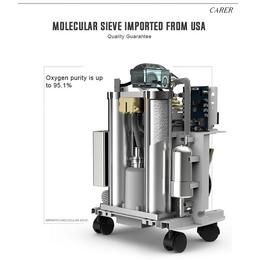 Carer CR-P5W High Purity Medical Oxygen Concentrator (5Ltr)
