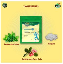 Zandu Ayurvedic Pain Relief Patch