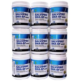 Salvipro DHA-SF Whey Protein (500gm Each) Vanilla
