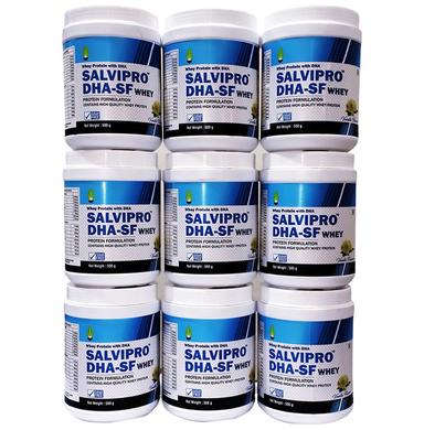 Salvipro DHA-SF Whey Protein (500gm Each) Vanilla