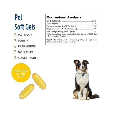 Nordic Naturals Omega-3 Pet Softgel for Optimal Pet Health and Wellness
