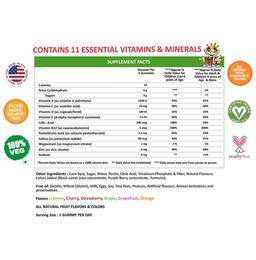 Gummiking Multivitamin & Mineral Gummy