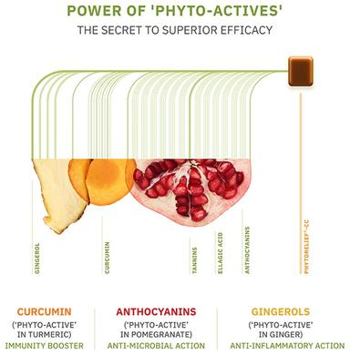 Phytorelief-CC Immunity Lozenges for Cough, Cold & Sore Throat (10 Each) | Sugar Free