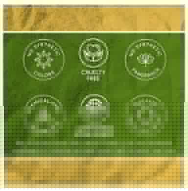 Antarkranti Naturals Conditioning Henna Powder