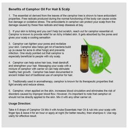 Aruba Essentials Combo Pack of Bharmi- Amla Herbal Hair Oil 200ml & Camphor Oil 15ml