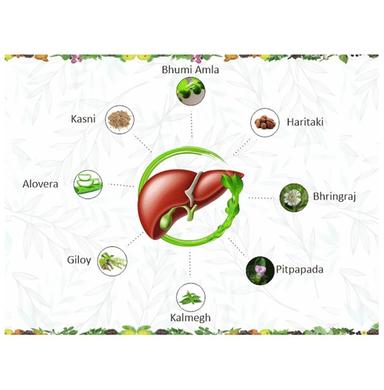AVG Liver Vital Syrup Sugar Free