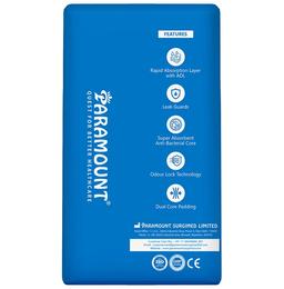 Arokleen Overnight Disposable Adult Diaper (10 Each) XL