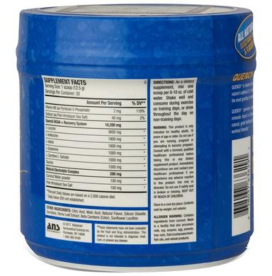 ANS Performance Superfruit Splash Quench BCAA Powder