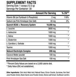 ANS Performance Superfruit Splash Quench BCAA Powder