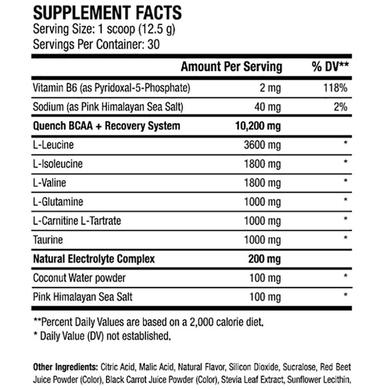 ANS Performance Superfruit Splash Quench BCAA Powder